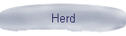 Herd