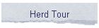 Herd Tour