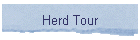 Herd Tour